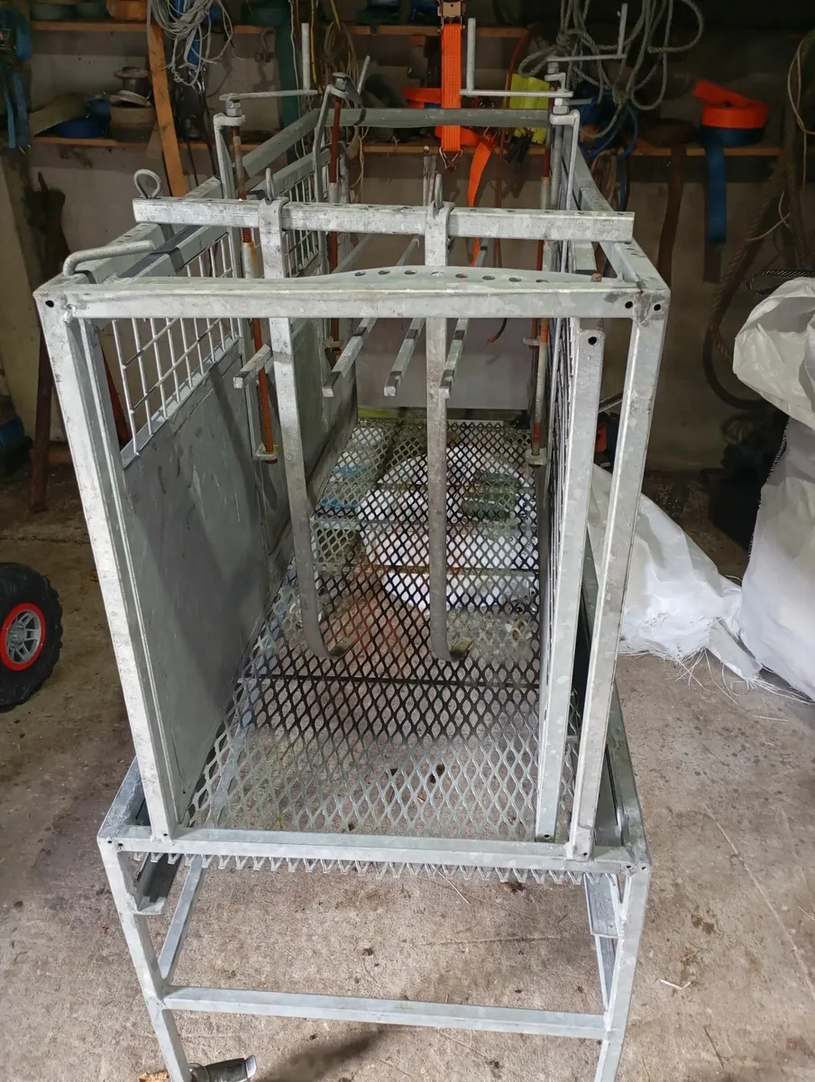 Sheep Dressing Unit - Image 4