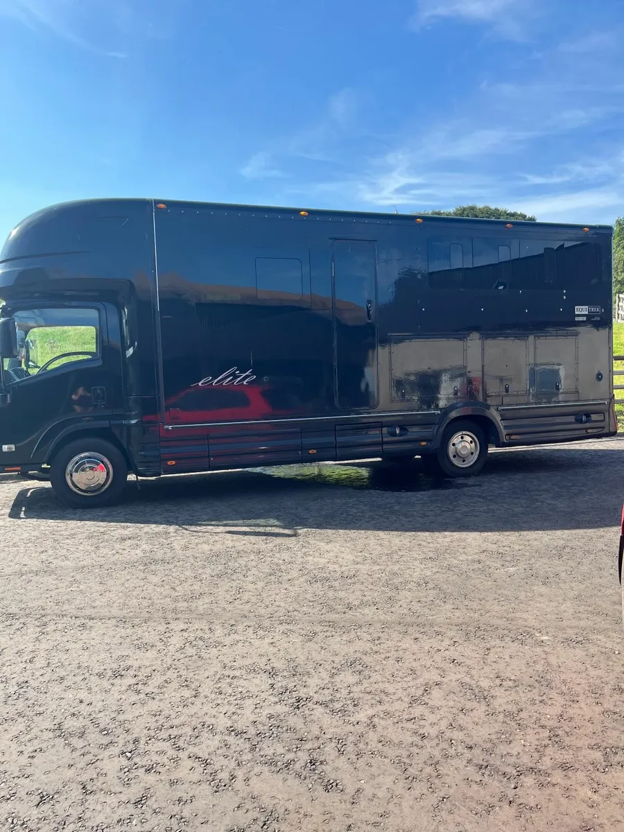 2013 EQUITREK HORSE LORRY - Image 2