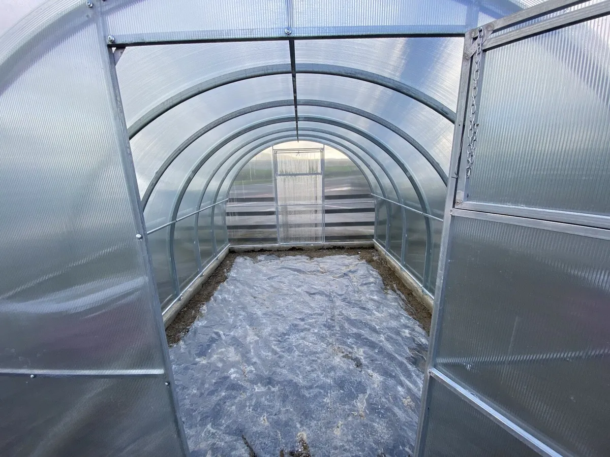 Polytunnels different sizes available - Image 4