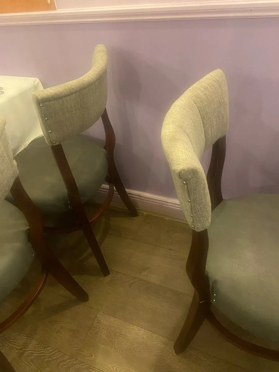 Restaurant Chairs - Image 2