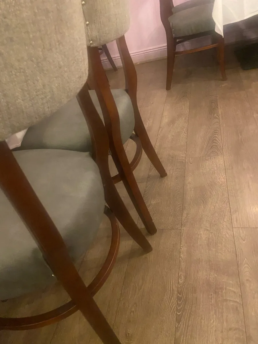 Restaurant Chairs - Image 3