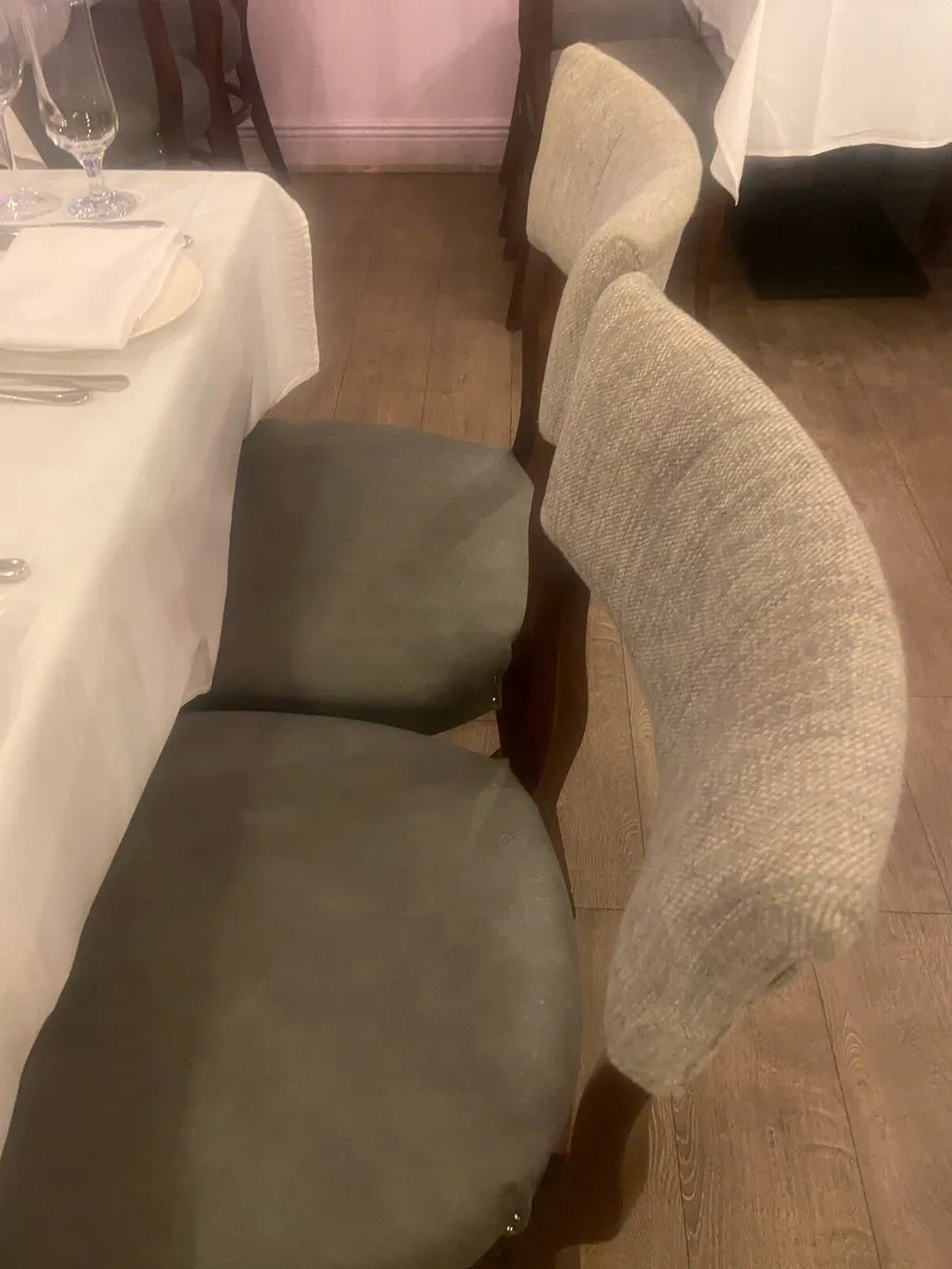 Restaurant Chairs - Image 4