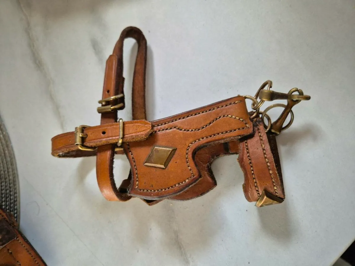 Harness - Image 1