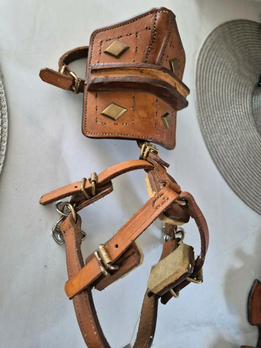 Harness - Image 4
