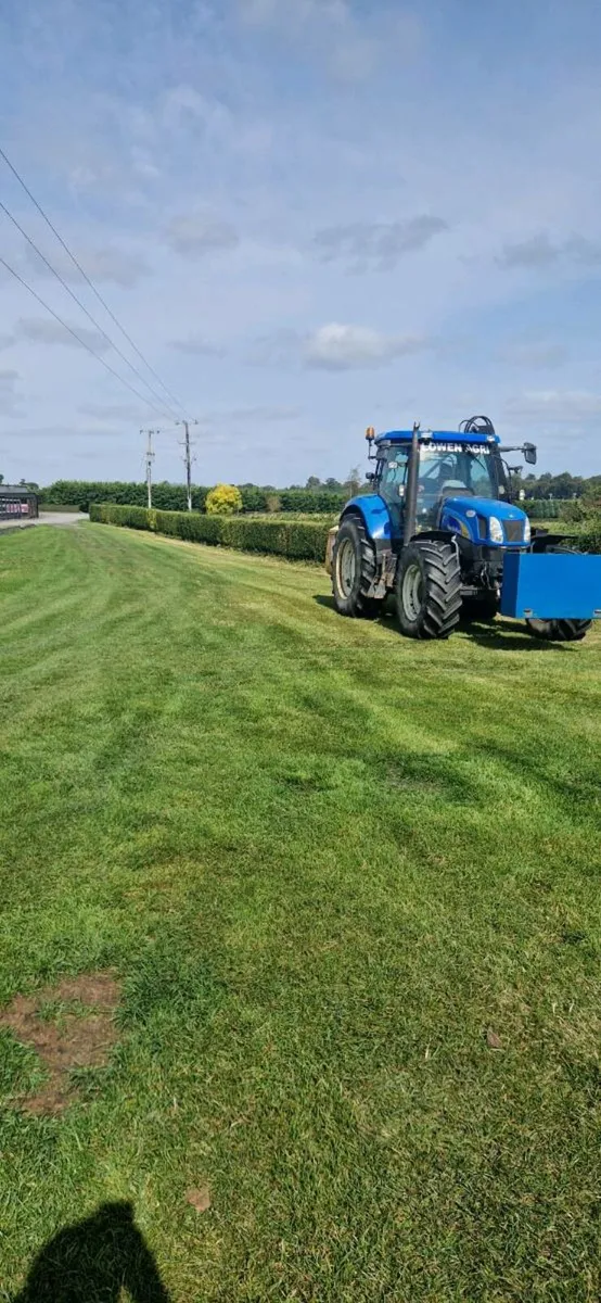 Hedge cutting available - Image 2