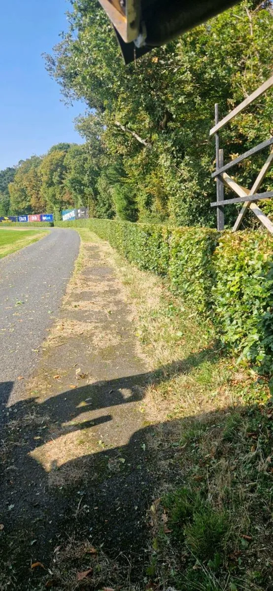 Hedge cutting available - Image 3