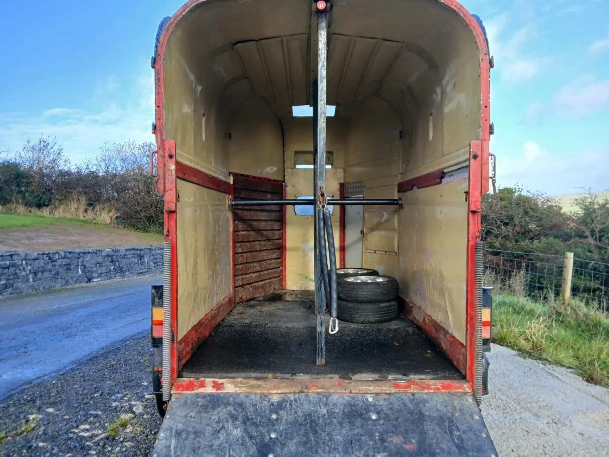 Rice horse box - Image 3