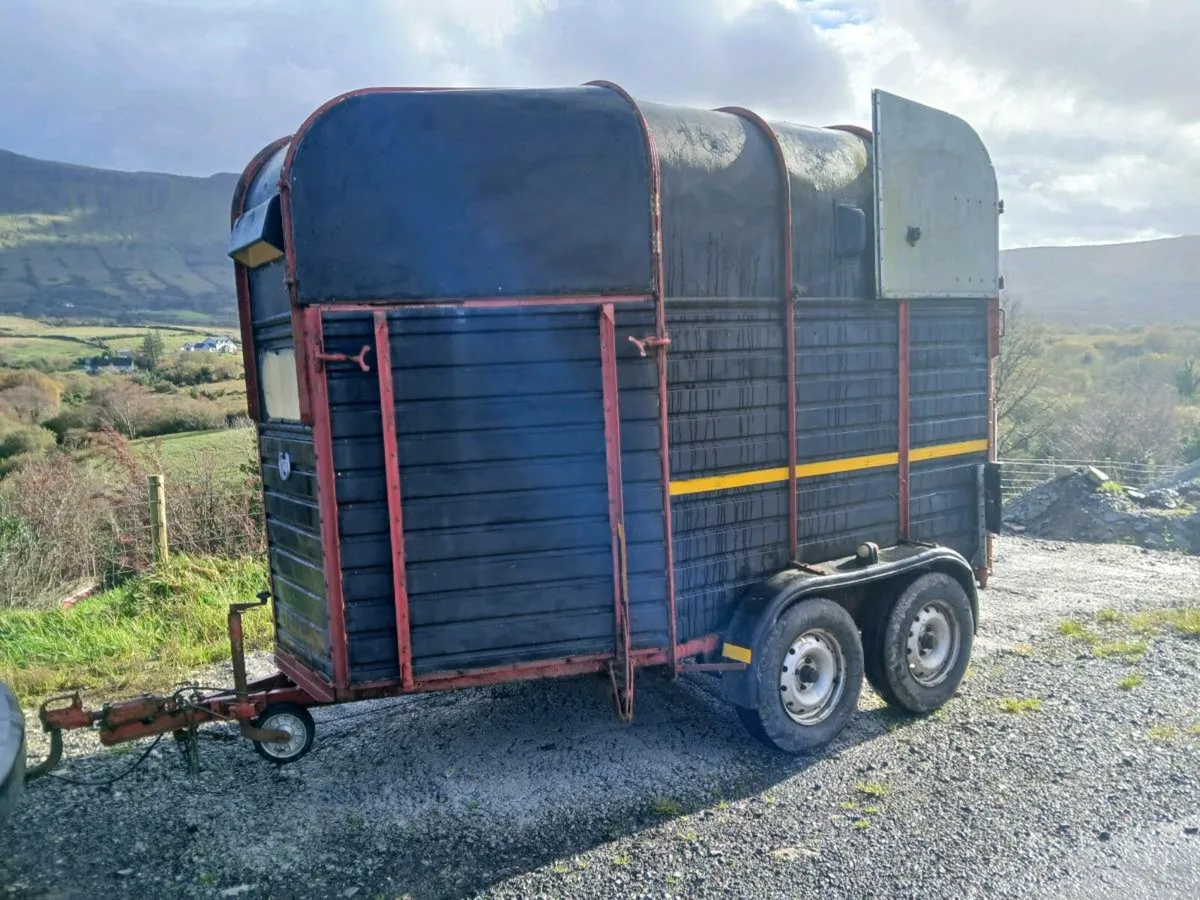 Rice horse box - Image 4