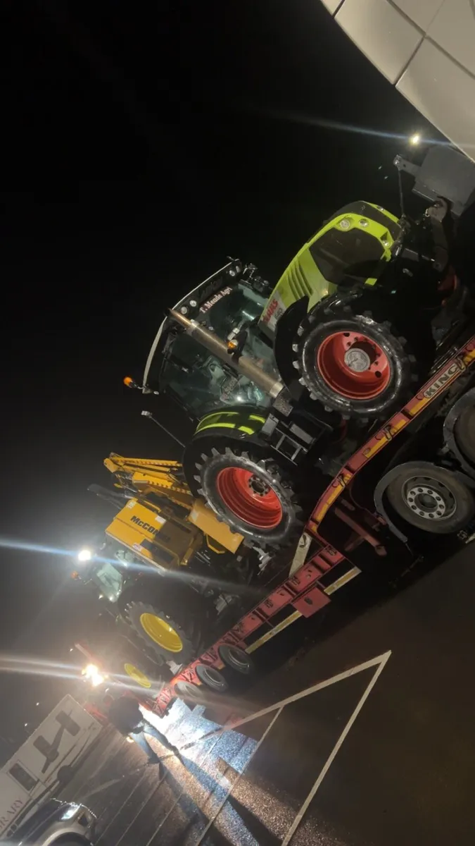 Hedge Cutting Clare Area - Image 4