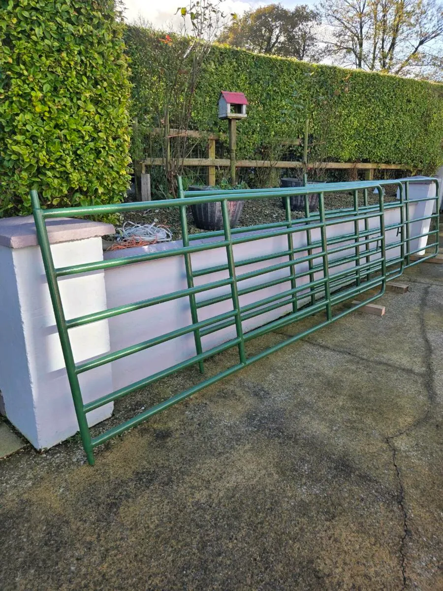 Heavy Duty Yard Gates - Image 1