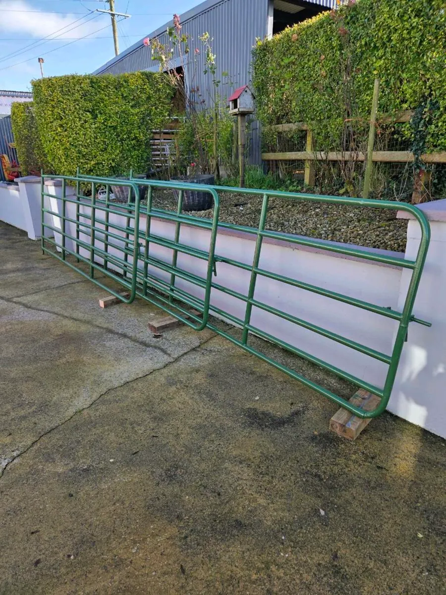 Heavy Duty Yard Gates - Image 2