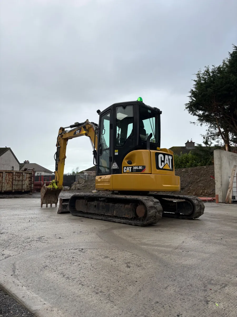 Cat 305 - Image 1