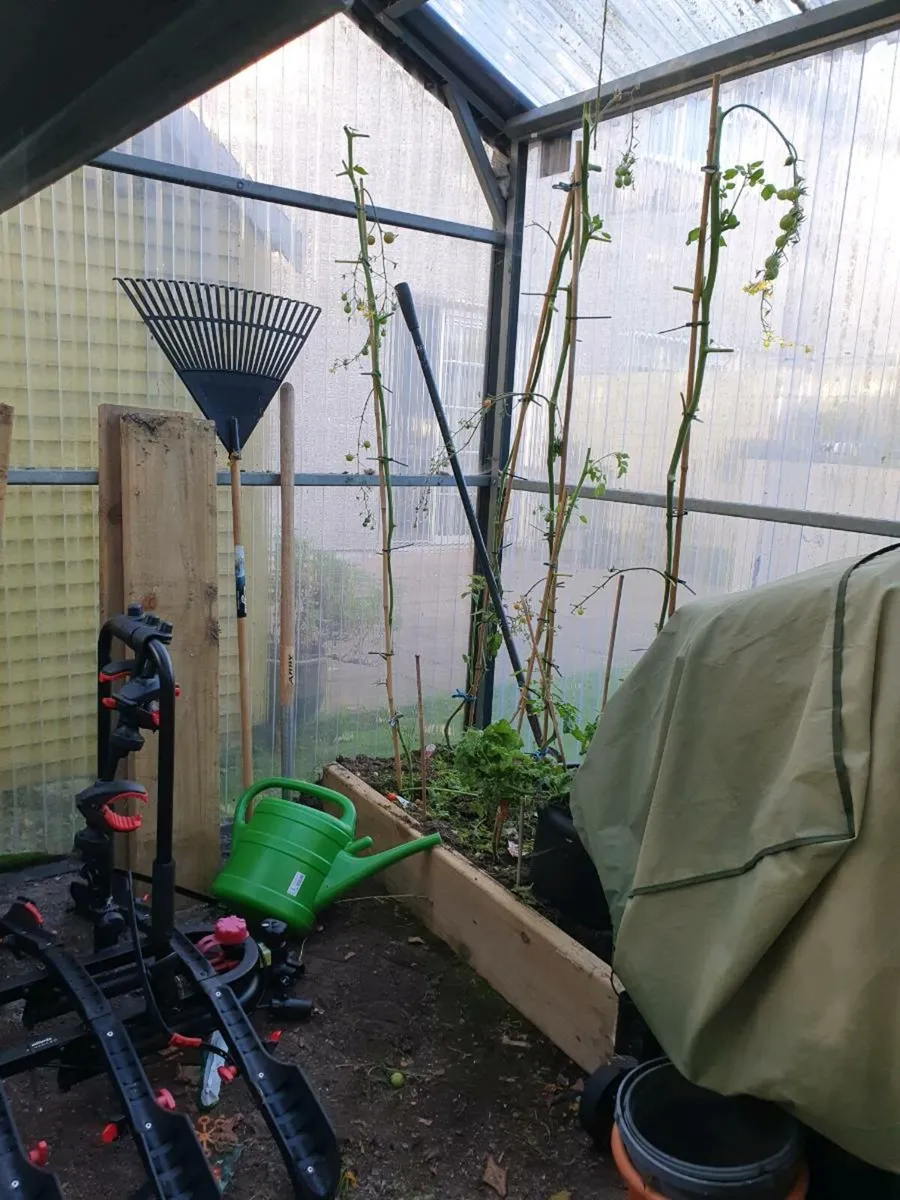 Steeltech Greenhouse - Image 4