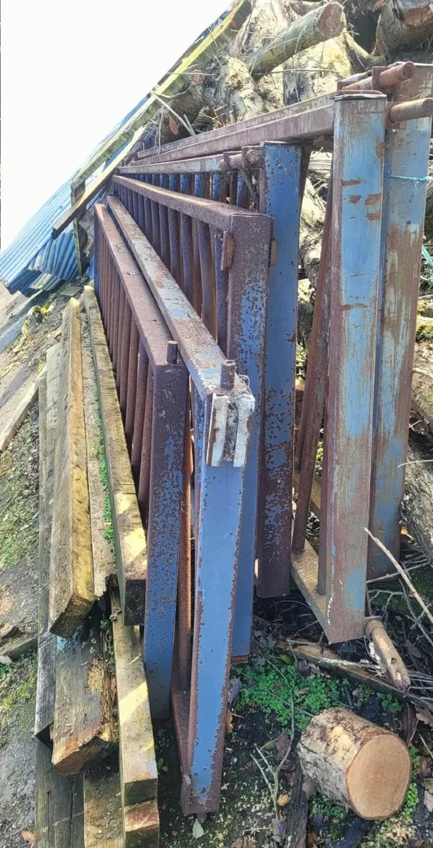 Farm Cattle Yard Feeding Passage Gates - Image 2