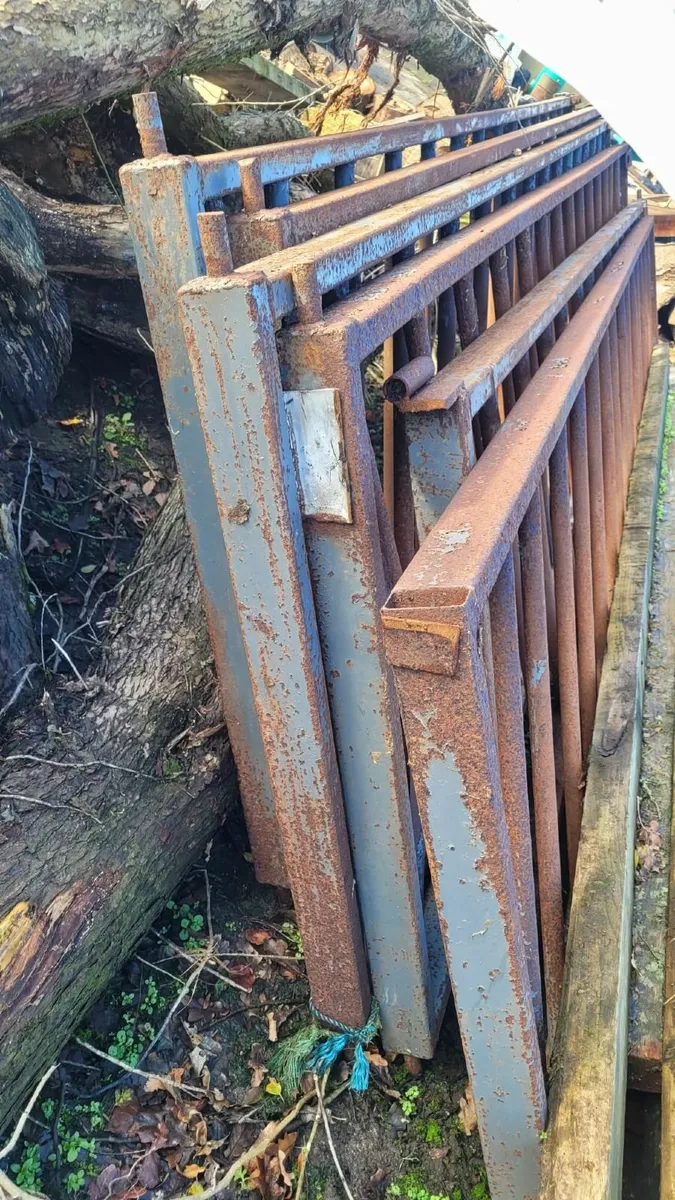 Farm Cattle Yard Feeding Passage Gates - Image 4
