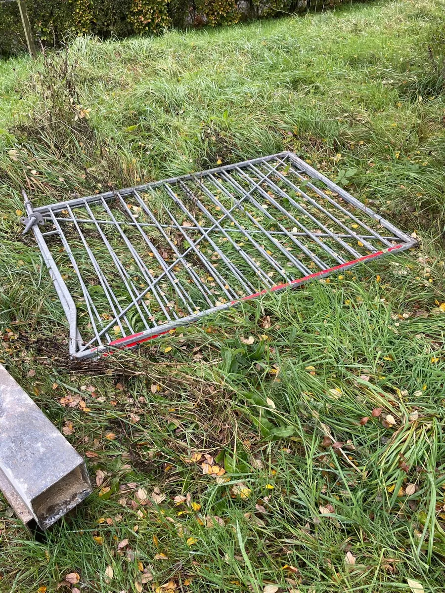 Lamp post/ electric pole - Image 3