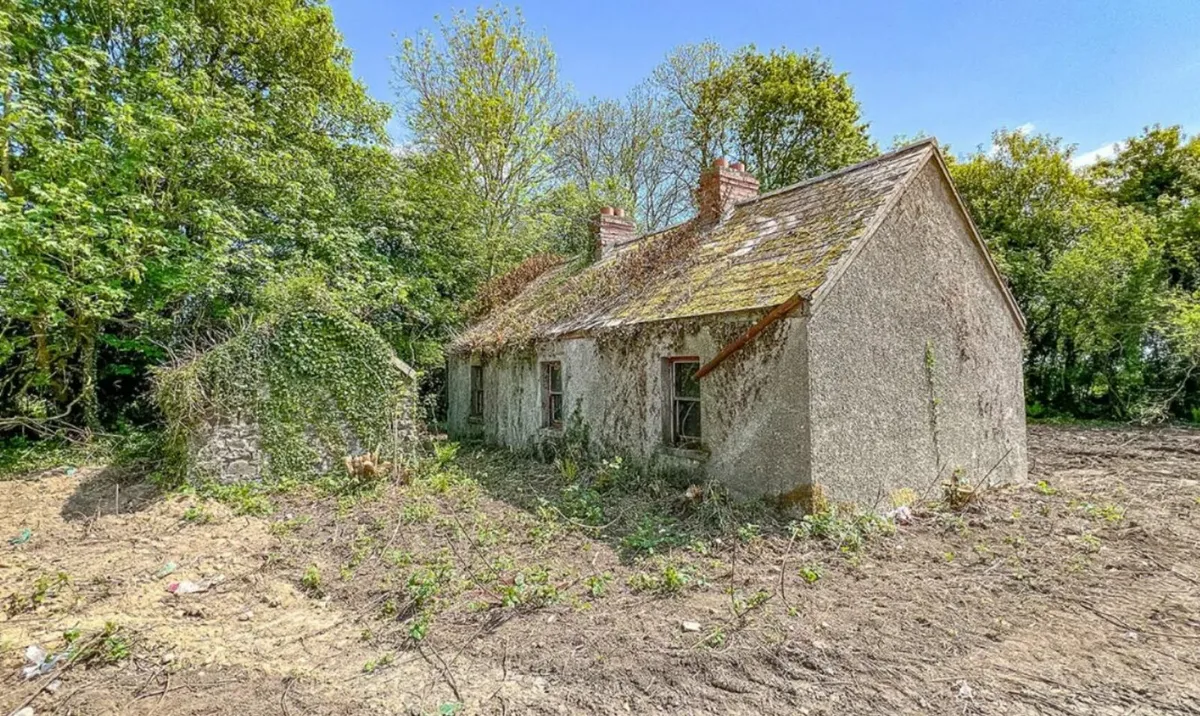 Field, Forest or Derelict Site - Approx 0.5 Acres - Image 1