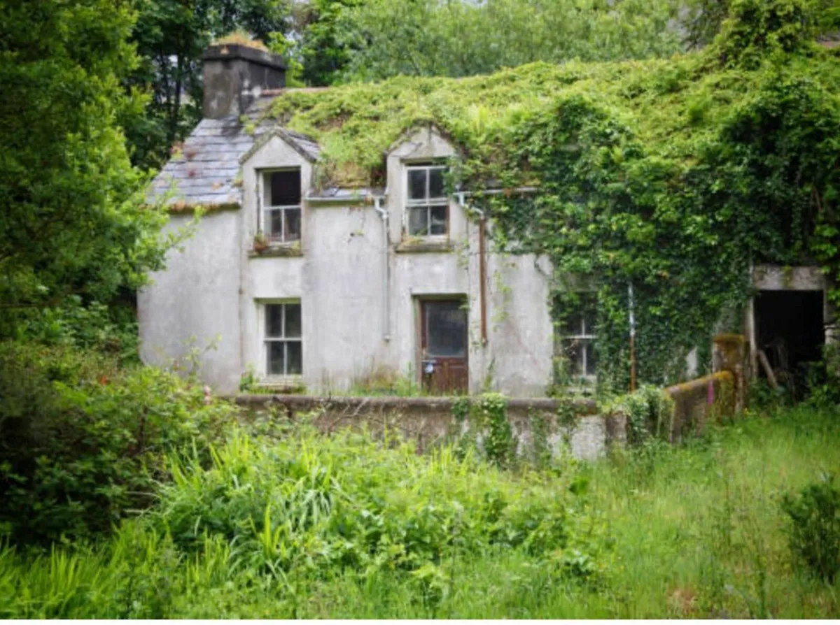 Field, Forest or Derelict Site - Approx 0.5 Acres - Image 2