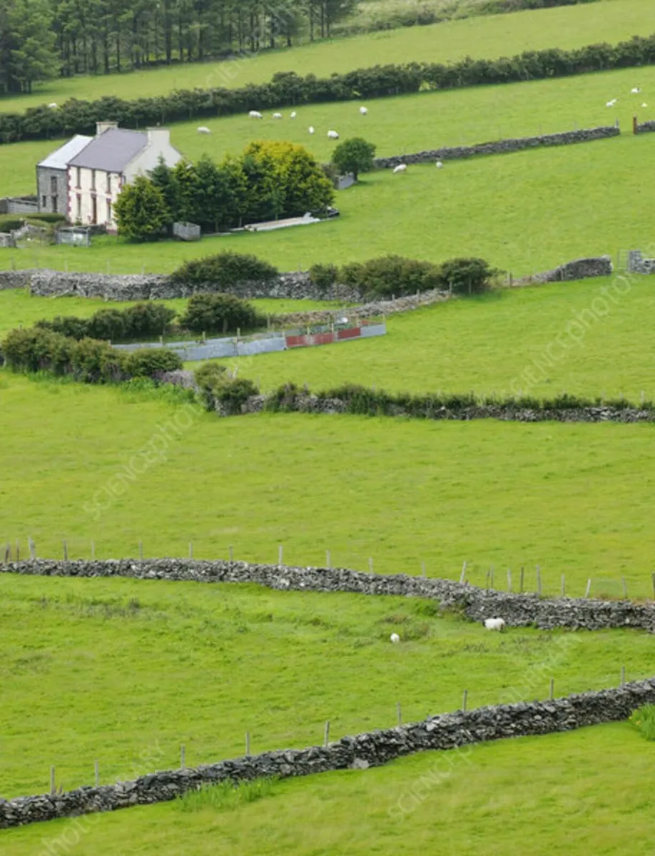 Field, Forest or Derelict Site - Approx 0.5 Acres - Image 3