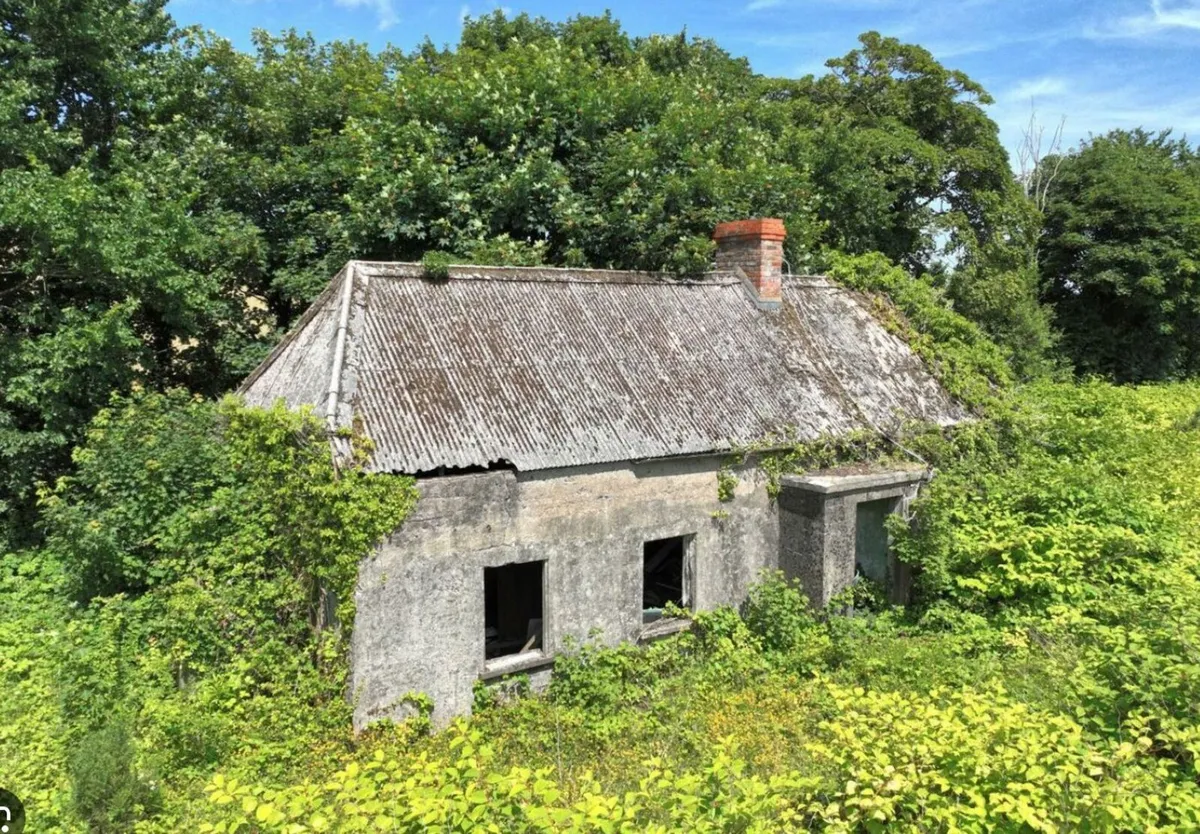 Field, Forest or Derelict Site - Approx 0.5 Acres - Image 4