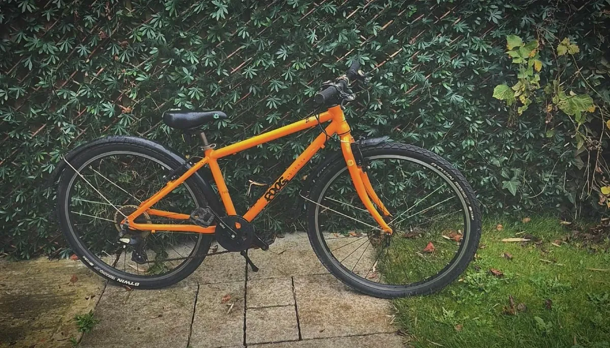 Frog Bike 69 - Image 1