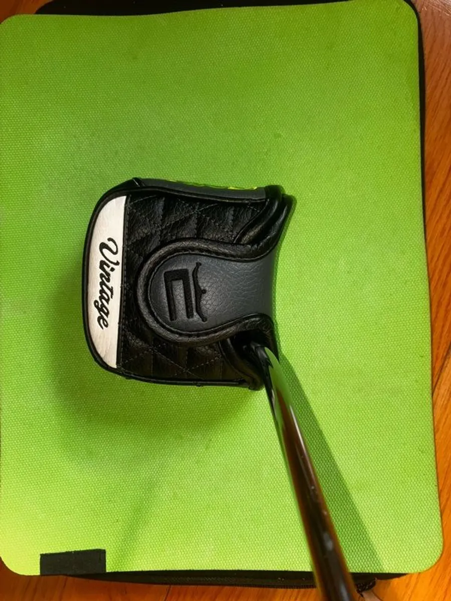 LH Cobra King Vintage Stingray - Image 1