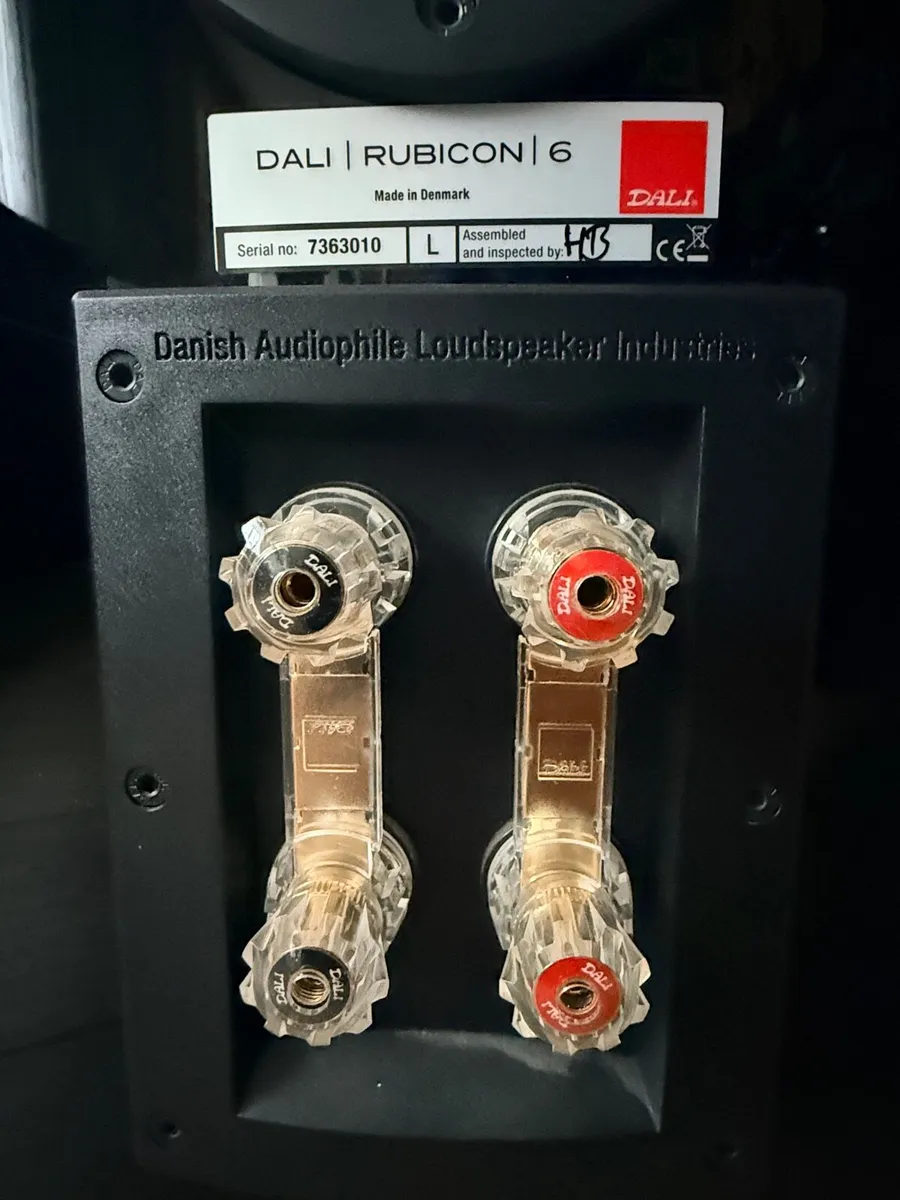 Dali Rubicon 6 - Image 2