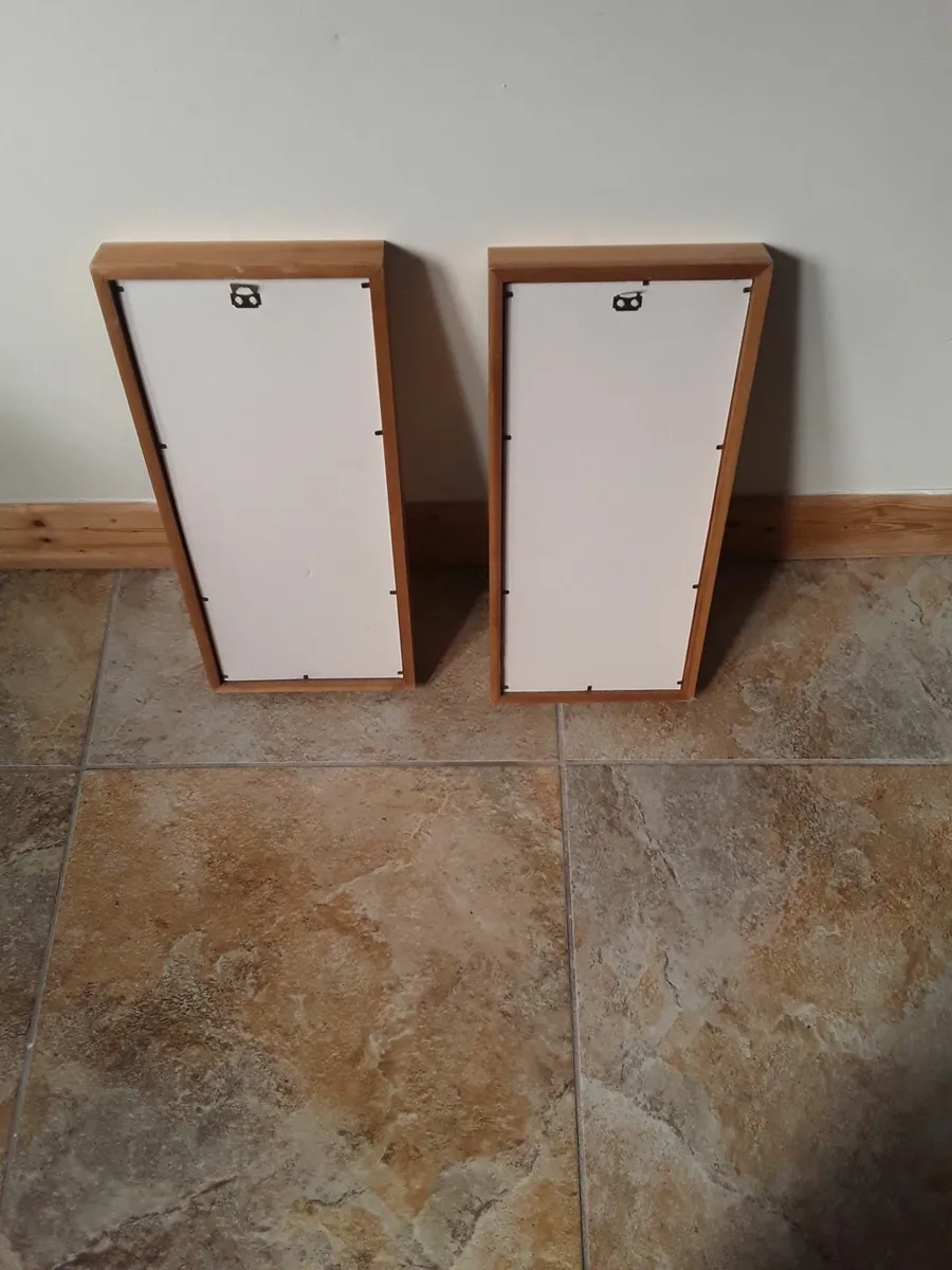 Two lovely framed picture dried plants - Image 2