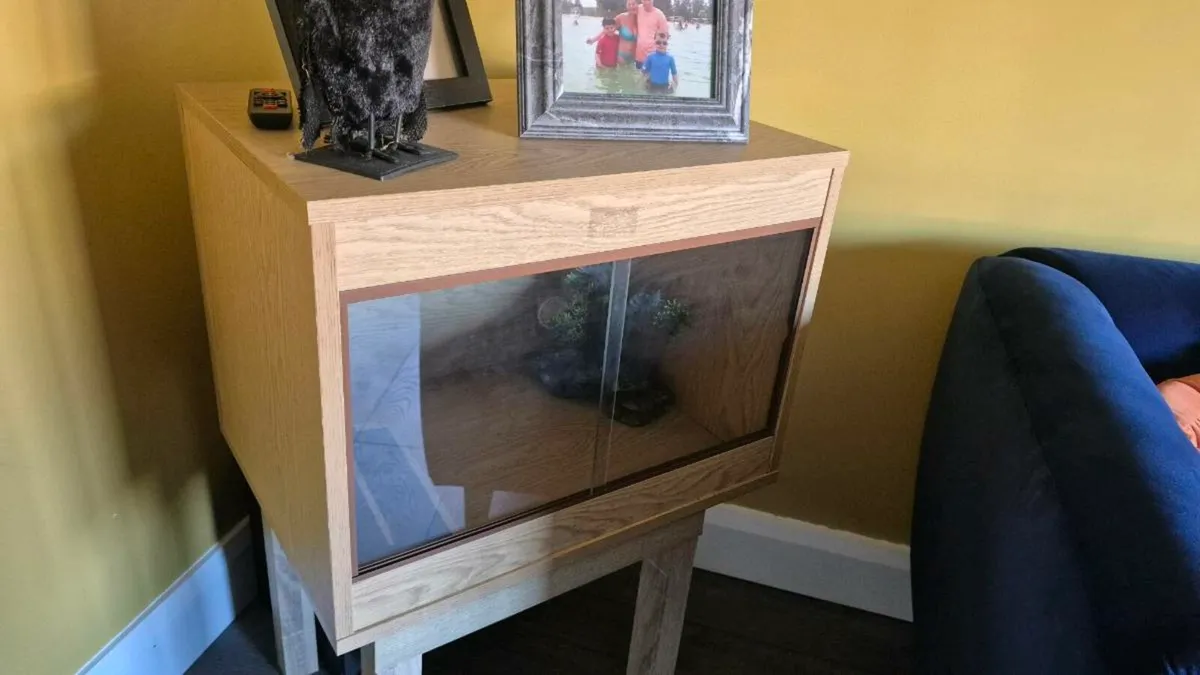 Gecko Encloure - Image 1