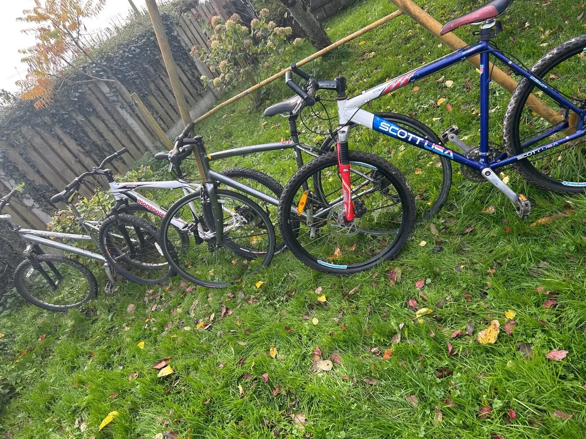 Bikes for sale - Image 1