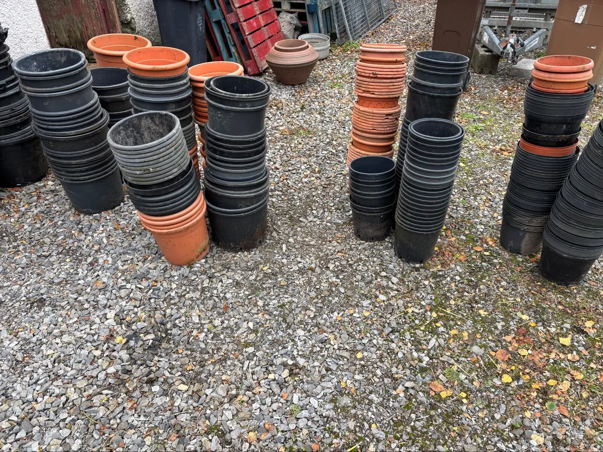 Plant Pots - Image 2
