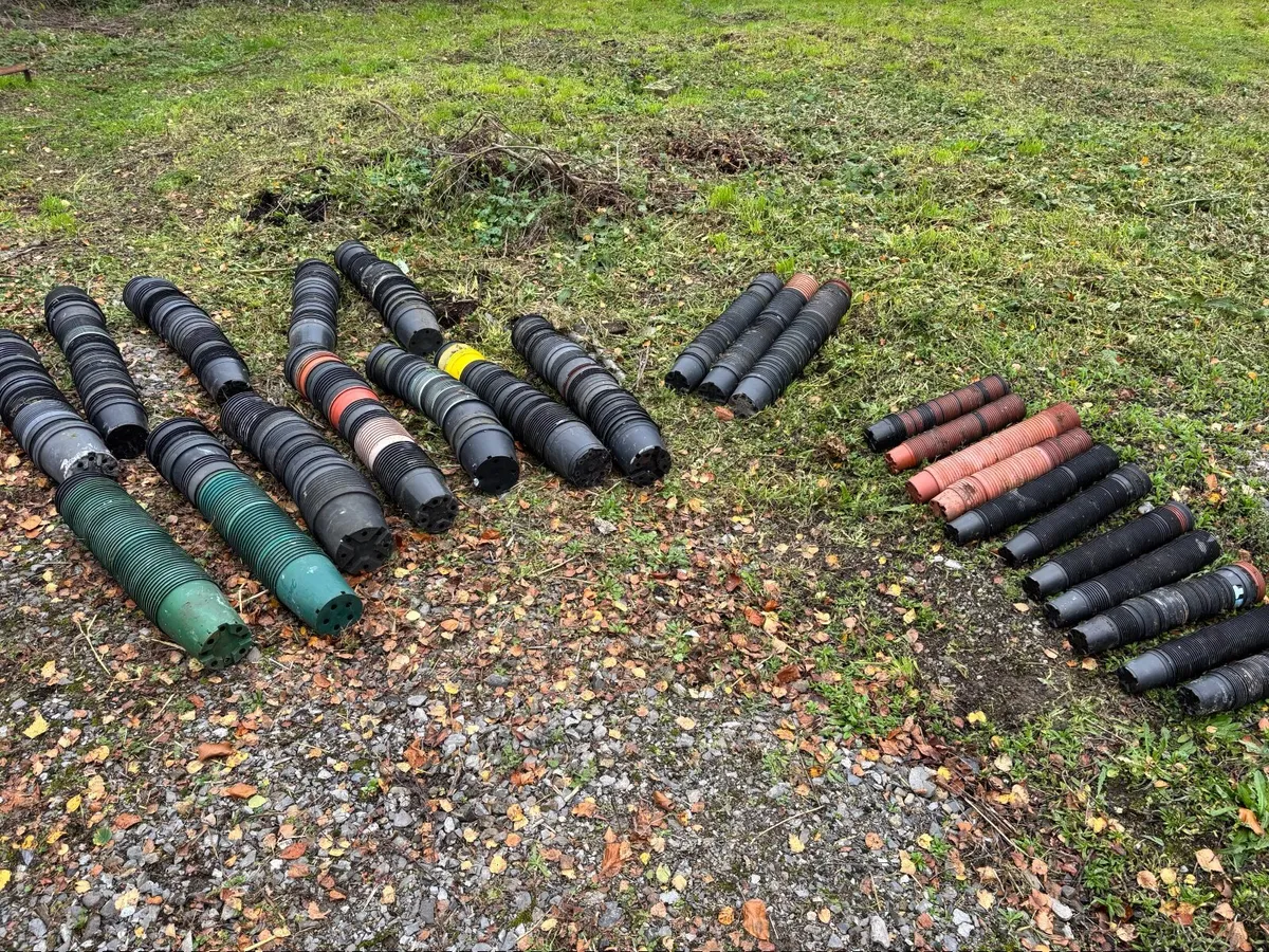 Plant Pots - Image 1