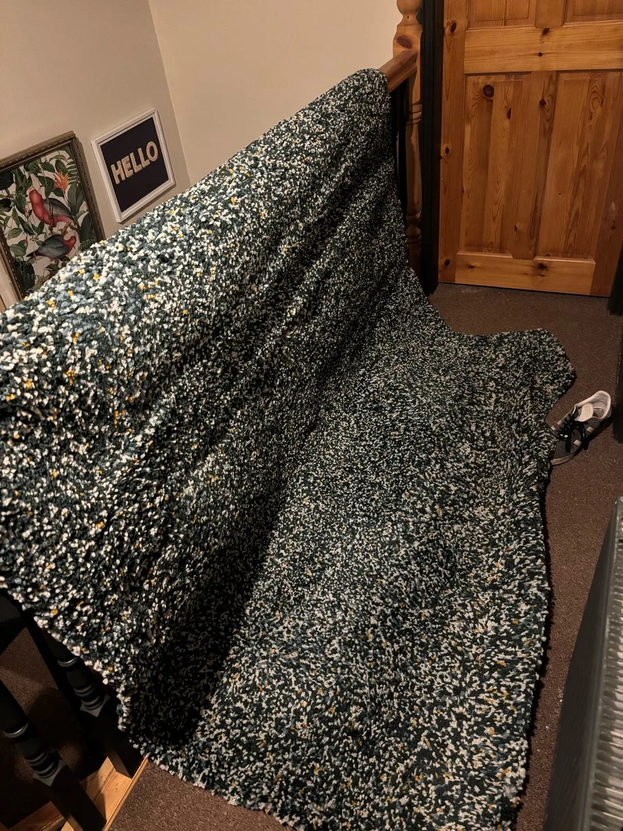 IKEA Rug 170 x 240 cm - Image 2