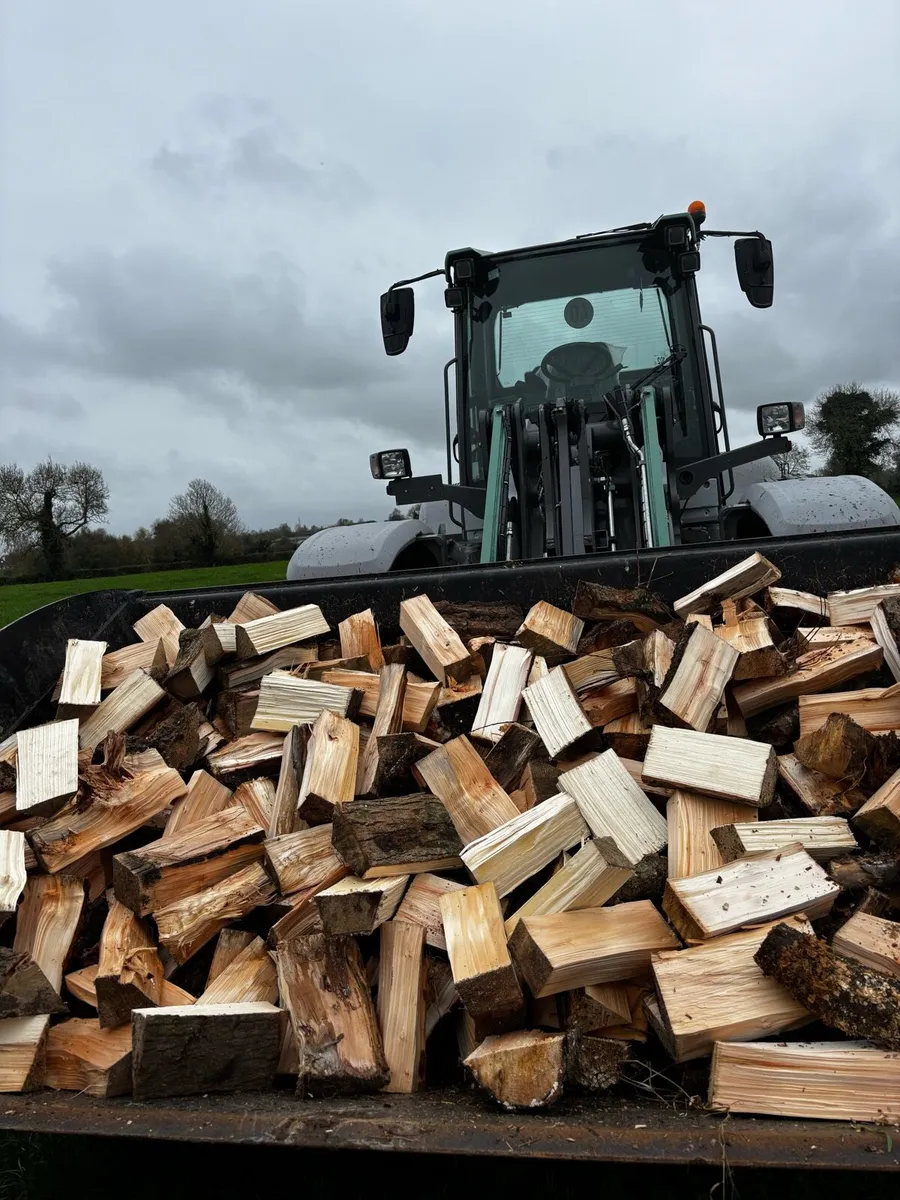 Firewood - Image 2