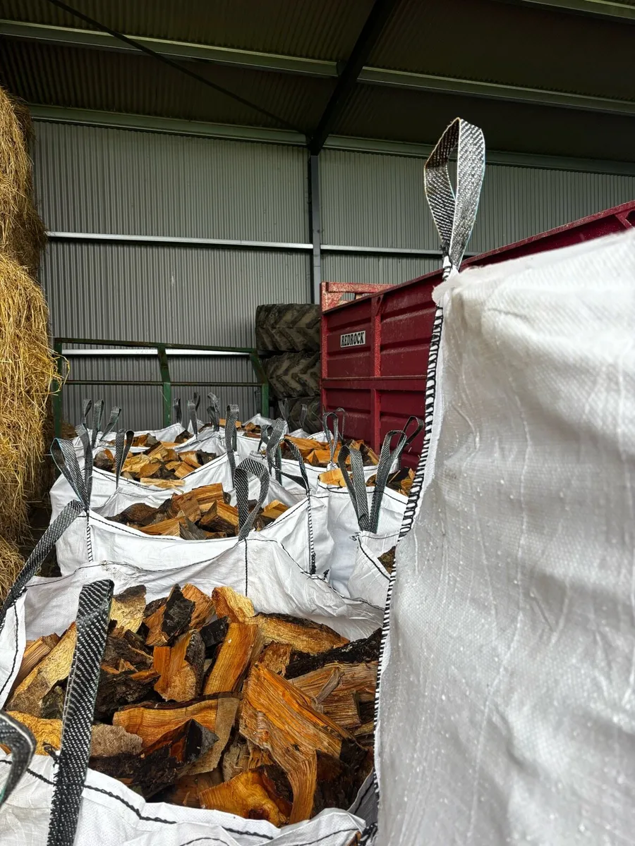 Firewood - Image 3