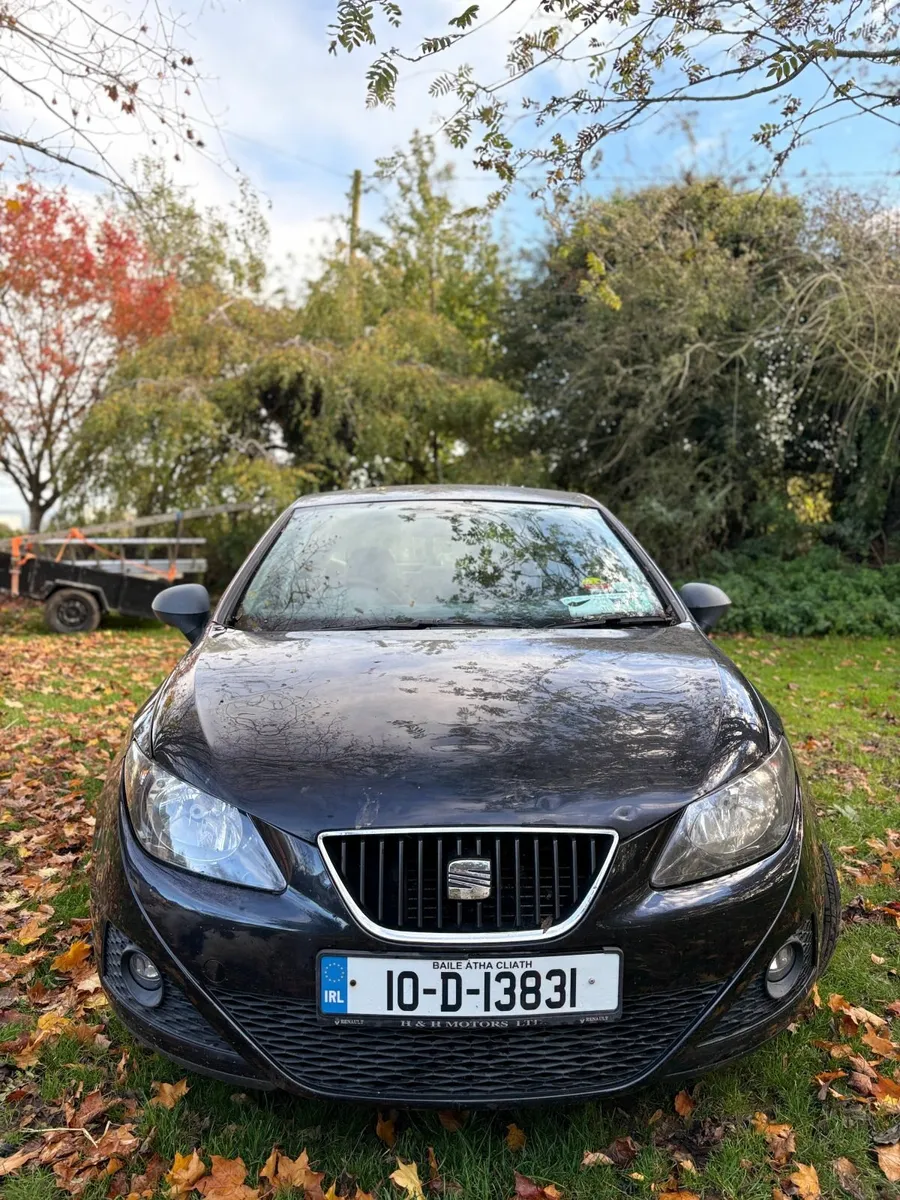 SEAT Ibiza 2010 - Image 1