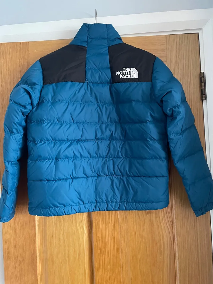 The North Face Puffer - Image 3