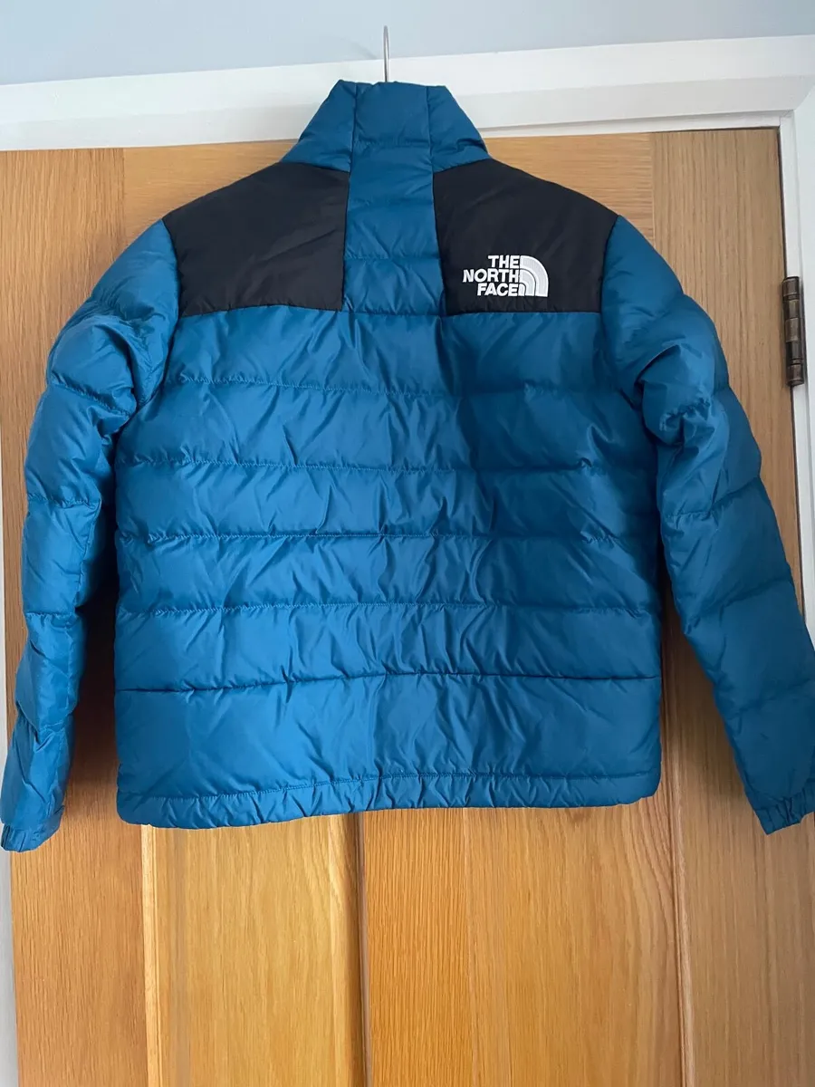 The North Face Puffer - Image 4