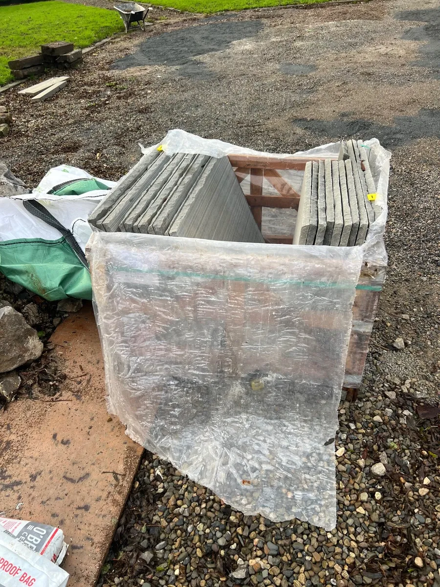 Kandla grey sandstone