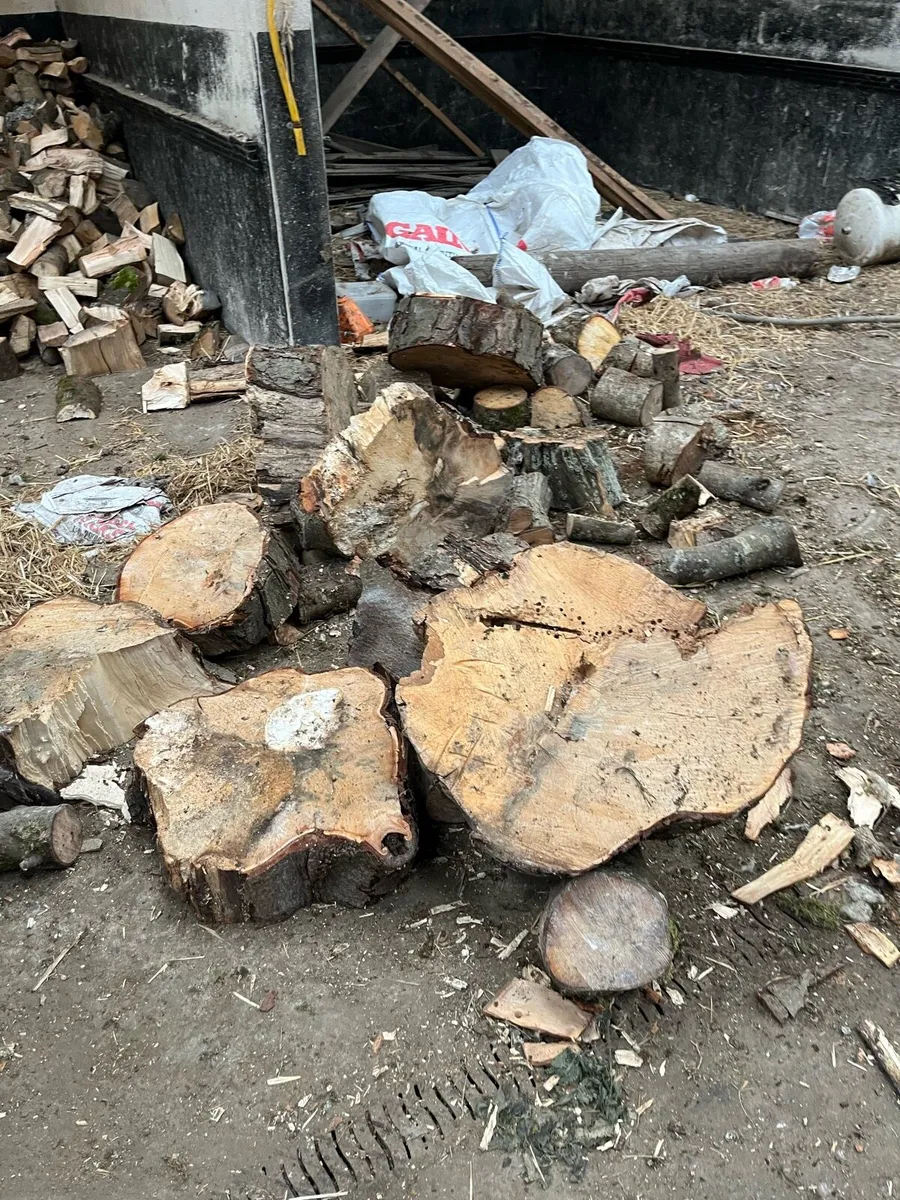 Firewood - Image 2