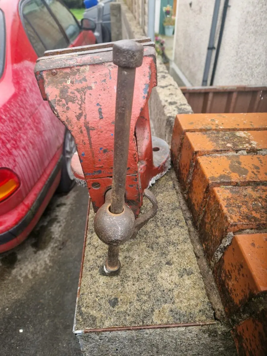 Record no 25 vice - Image 2