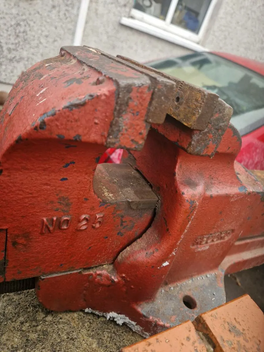 Record no 25 vice - Image 3