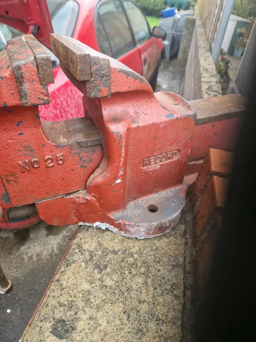 Record no 25 vice - Image 4