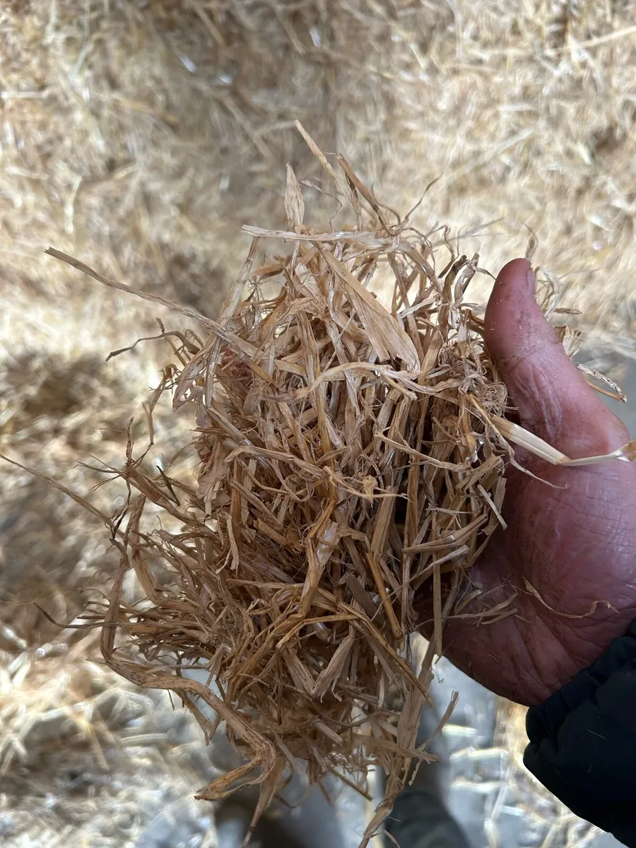 Chopped straw - Image 1