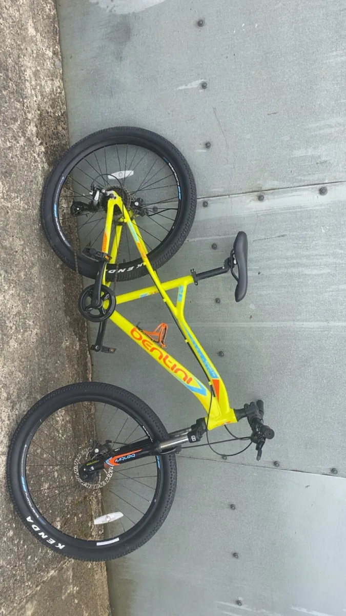 Mountain bike - Image 1