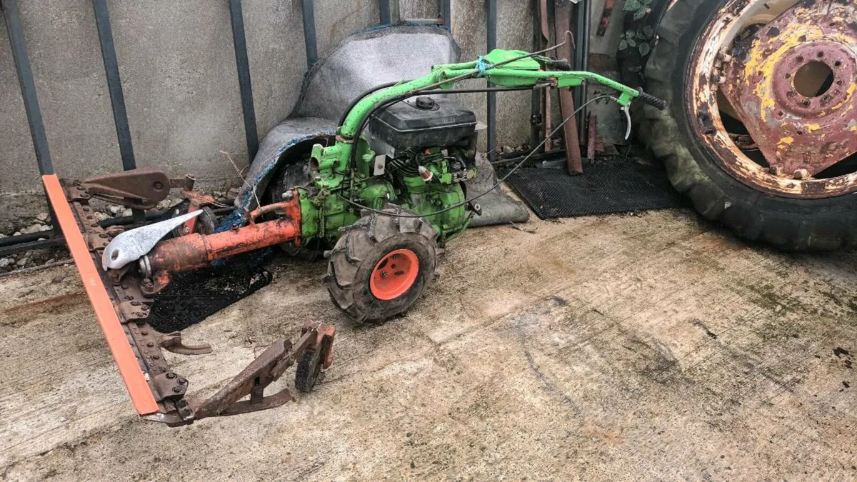 Iron horse - Image 1