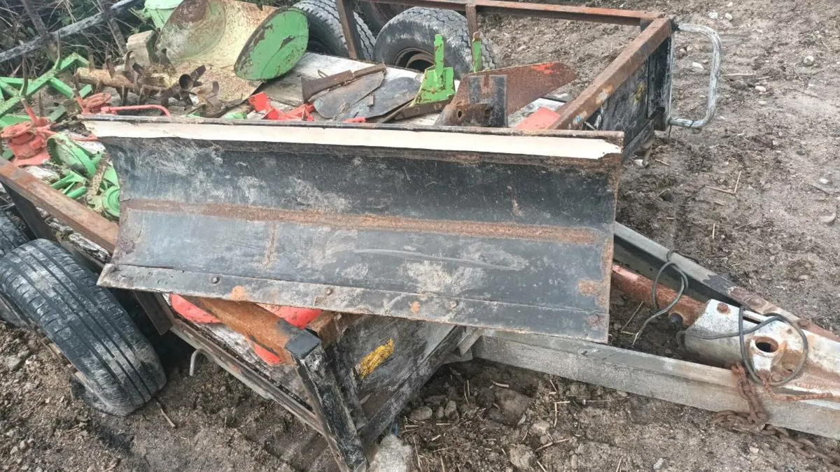 Iron horse - Image 2