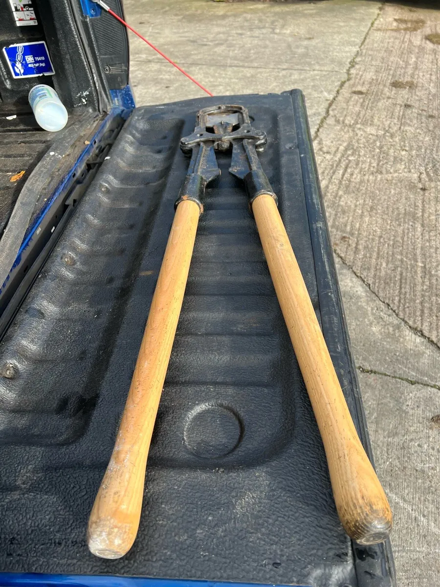 Cattle dehorn - Image 2