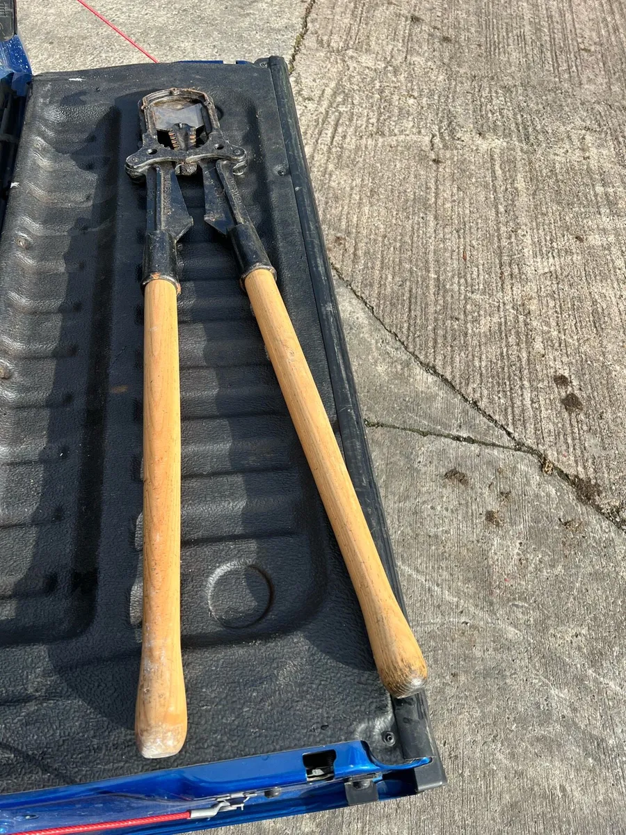 Cattle dehorn - Image 3