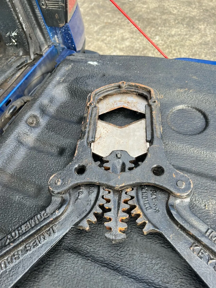 Cattle dehorn - Image 4